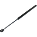 Set of 2 Lift Supports for Hyundai Tiburon (2003–2007)
