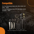 Timing Chain Set with Sprocket for Ford Mustang Cobra SVT/Mach 1 (1994–2004)