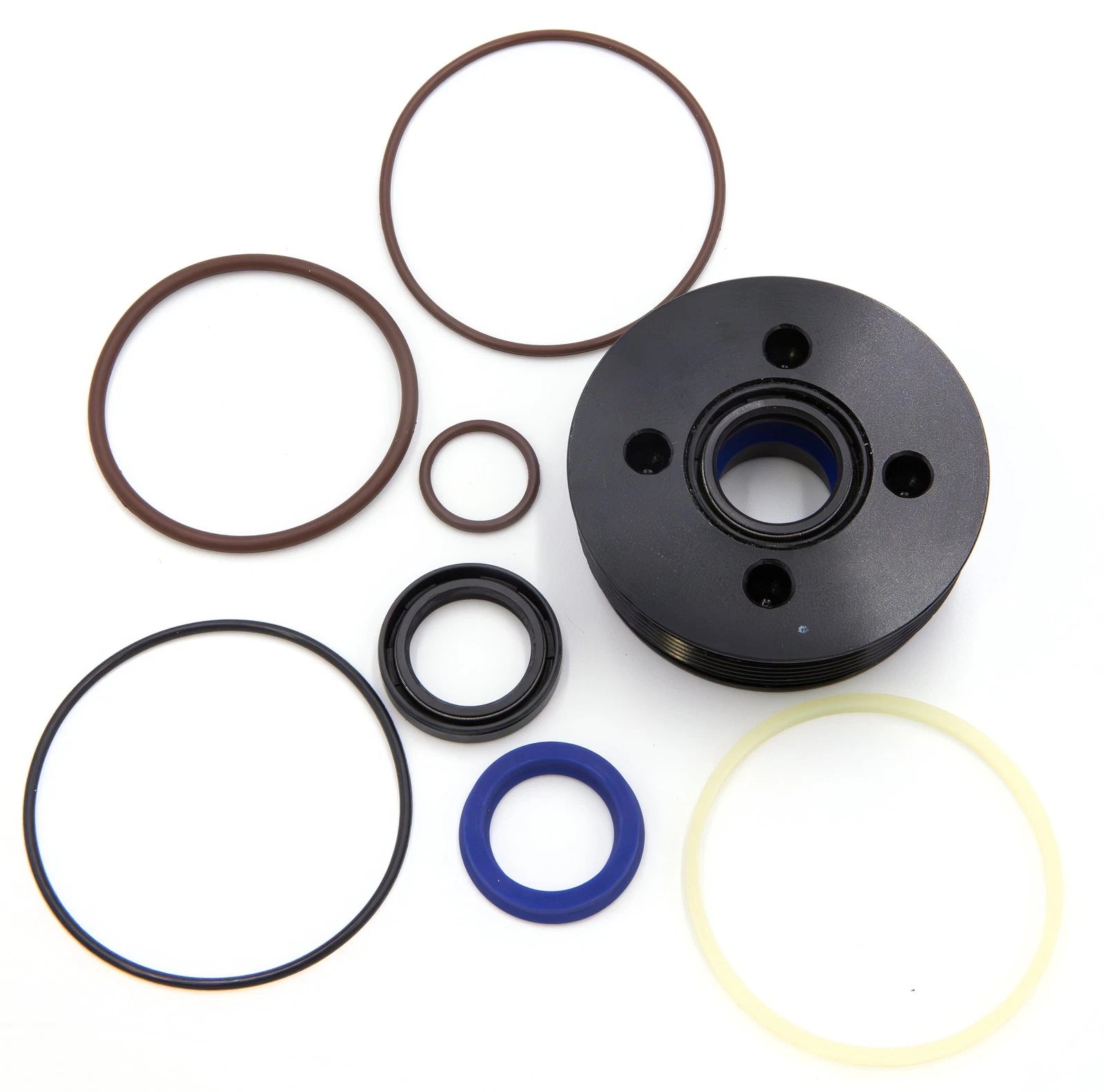 Tilt Trim Piston Seal Kit & End Cap for Evinrude E-Tec 75-130Hp (2004–2023)