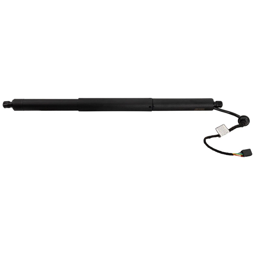 Liftgate Lift Supports Set of 2 for Chevy Equinox