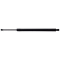 Liftgate Strut for Mazda CX-50 (2023–2024)