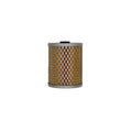 Oil Filter for Fendt (Replaces 1014219M92)