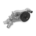 Set of 2 Water Pumps for Holley