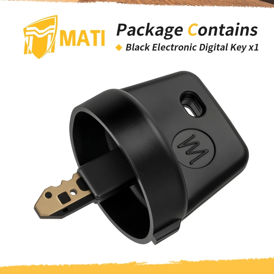 Electronic Key for