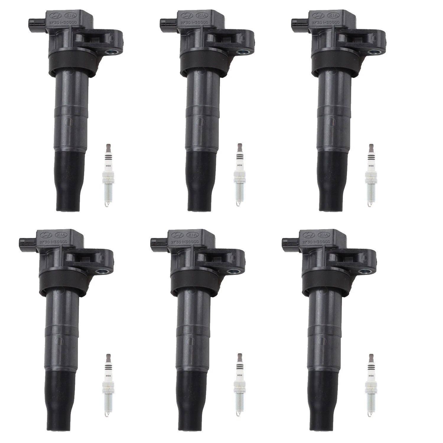 Set of 6 Ignition Coils & NGK Ruthenium Spark Plugs for Santa Fe XL, Sorento