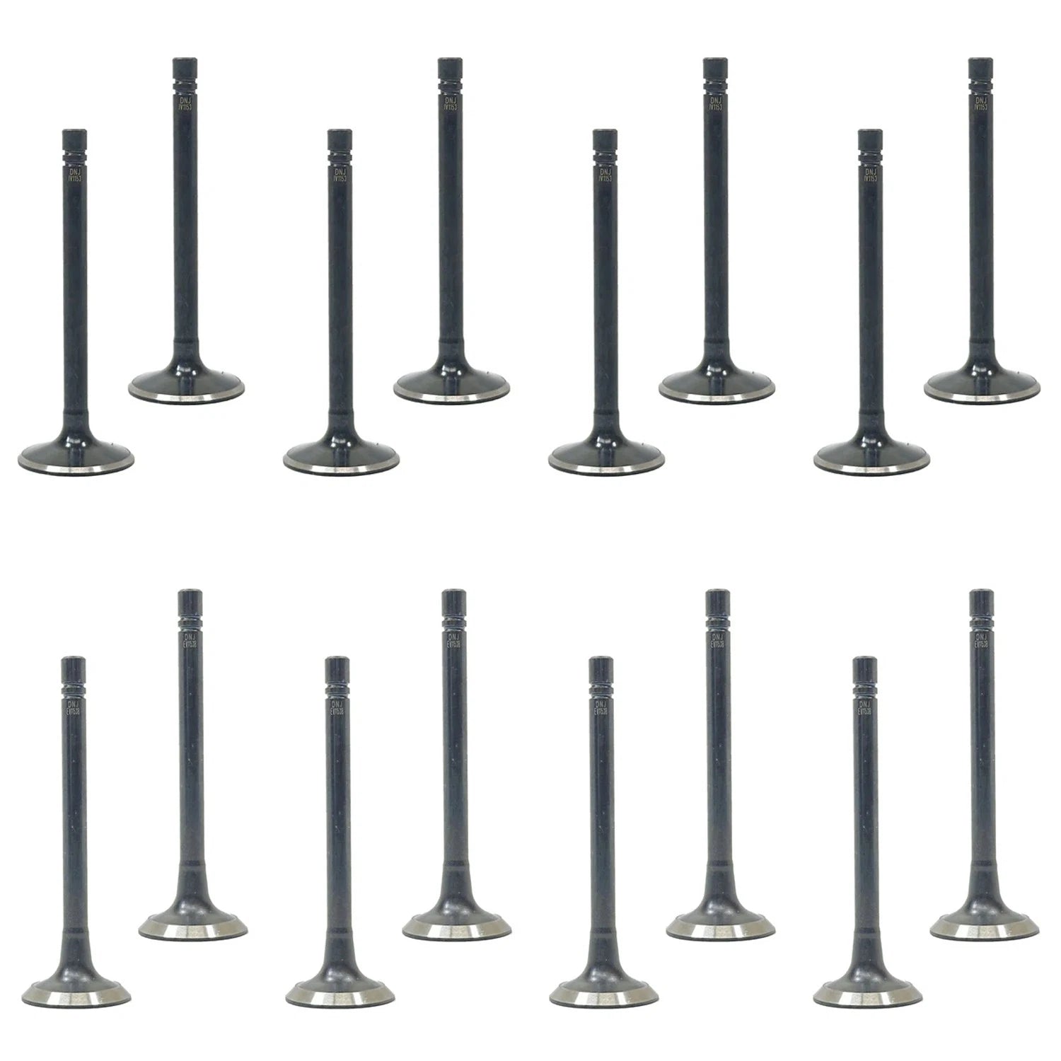 Set of 16 Intake & Exhaust Valves for Dodge B150 250 350 D150 5.2L (1981–1993)