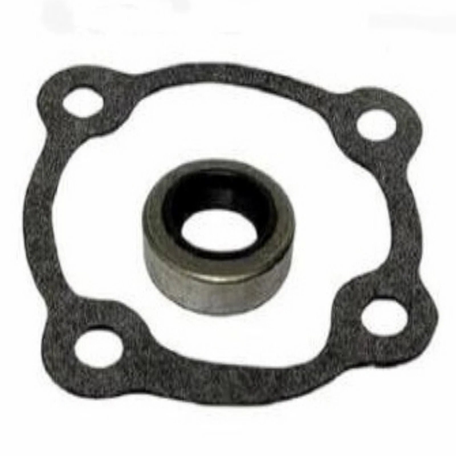Water Pump Rebuild Service Kit for Johnson Evinrude OMC Outboard (0389611)