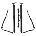 2PC Tailgate Lift Support Shock for Toyota RAV4 Limited (2019–2023)