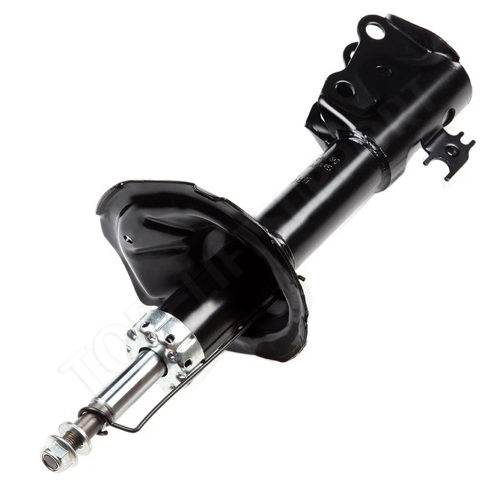 Set of 4 Suspension Struts for Toyota Echo (2000–2005)