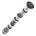 Left Side Intake Cam Camshaft for Dodge Jeep Chrysler 300 3.6L 11-20 5184379AF