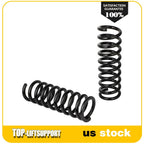 Set of 2 Coil Springs for Ford Mustang (1980–2004)