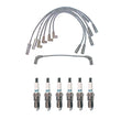Denso Wire Set & 6 Iridium Spark Plugs for GM 4.3 V6 (1996–2002)