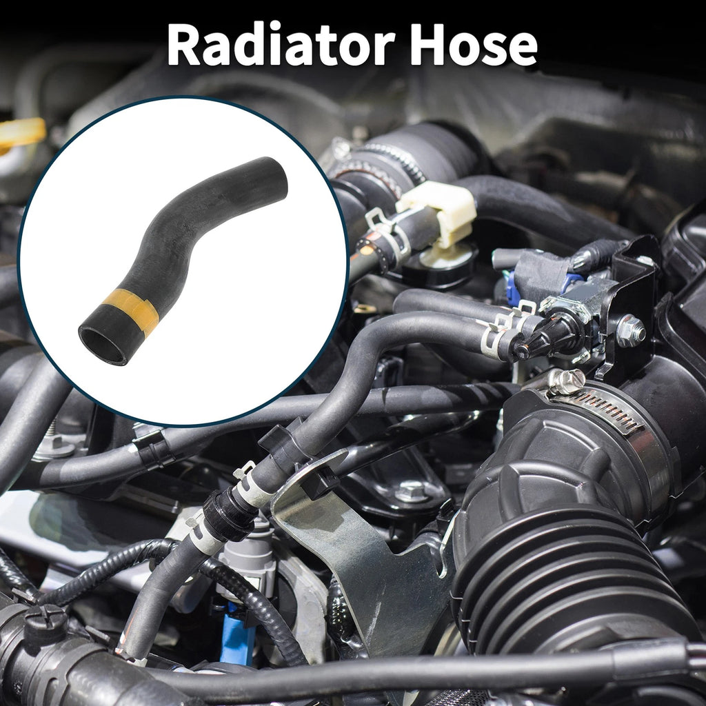 Radiator Hose No. 1657138050 for Lexus LS460 (2007–2012)