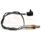 2X Oxygen Sensors for Dodge Dakota (2000)