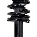 Front Strut Suspension for Honda Accord (1998–2002) 171691L 133635L