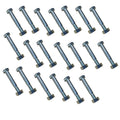 20 Shear Pins & Bolts for Ariens Push Snowblower (05907100, 51001600)