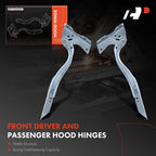 2X Hood Hinge for Ford Expedition (2012-2017)