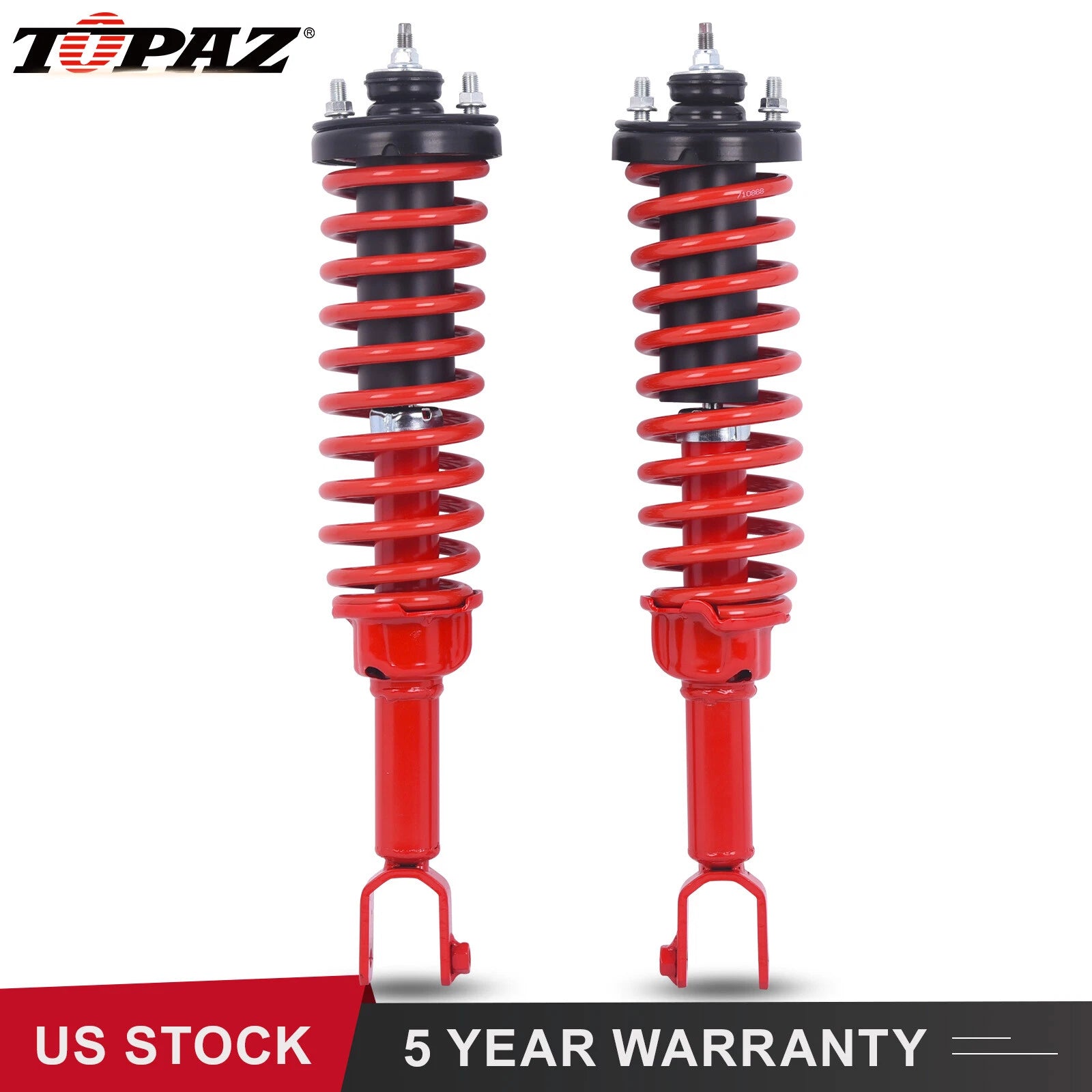 2X Rear Struts with Coil Spring for Honda Civic (1996-2000)