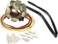 Hot Shot Stator for Suzuki (21-812H)