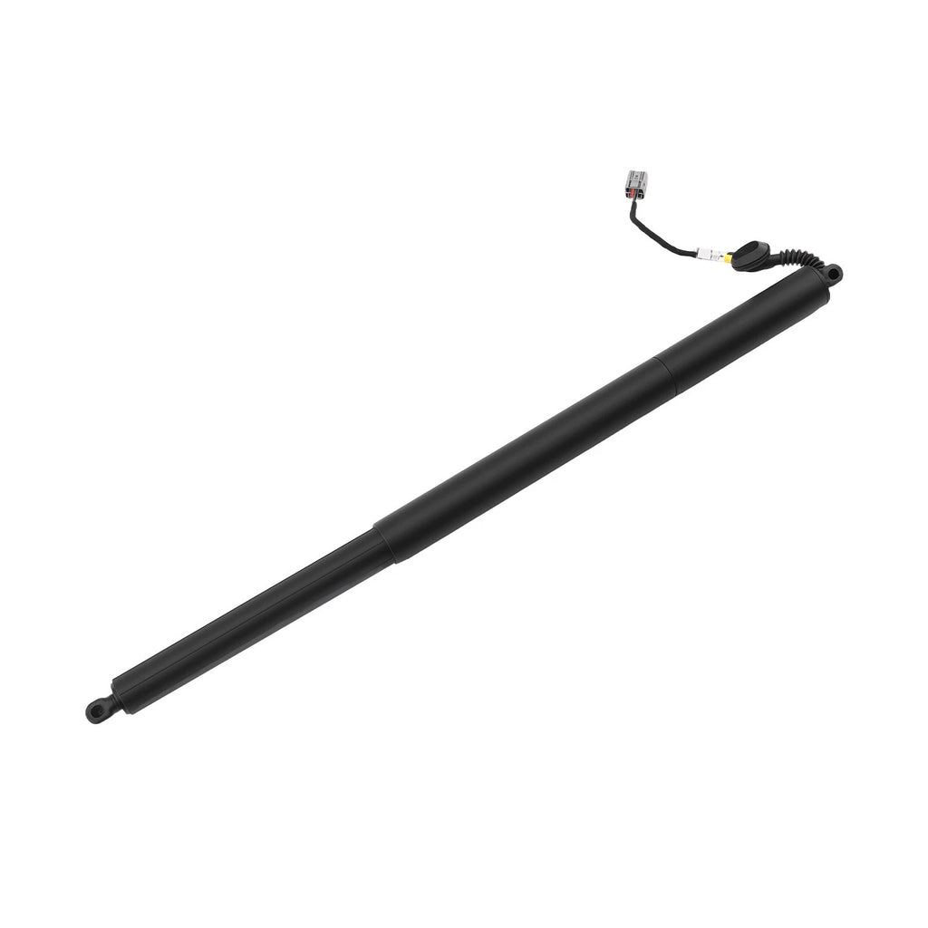 Hatch Lift Support for Ford Escape (2013–2019) CJ54S402A55AD