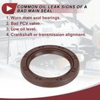 1 Pc Rear Crankshaft Oil Seal for Ford Mazda (No. 31370461)