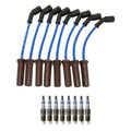 NGK Wire Set & Bosch 8 Double Platinum Spark Plugs for E-Series F-Series V8