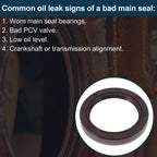 Front Crankshaft Oil Seal for BMW 7 Series (1992 - 2001)