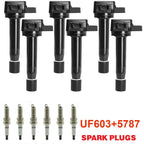 Set of 6 Ignition Coils & Spark Plugs for Acura RL TL TSX Honda Accord Odyssey