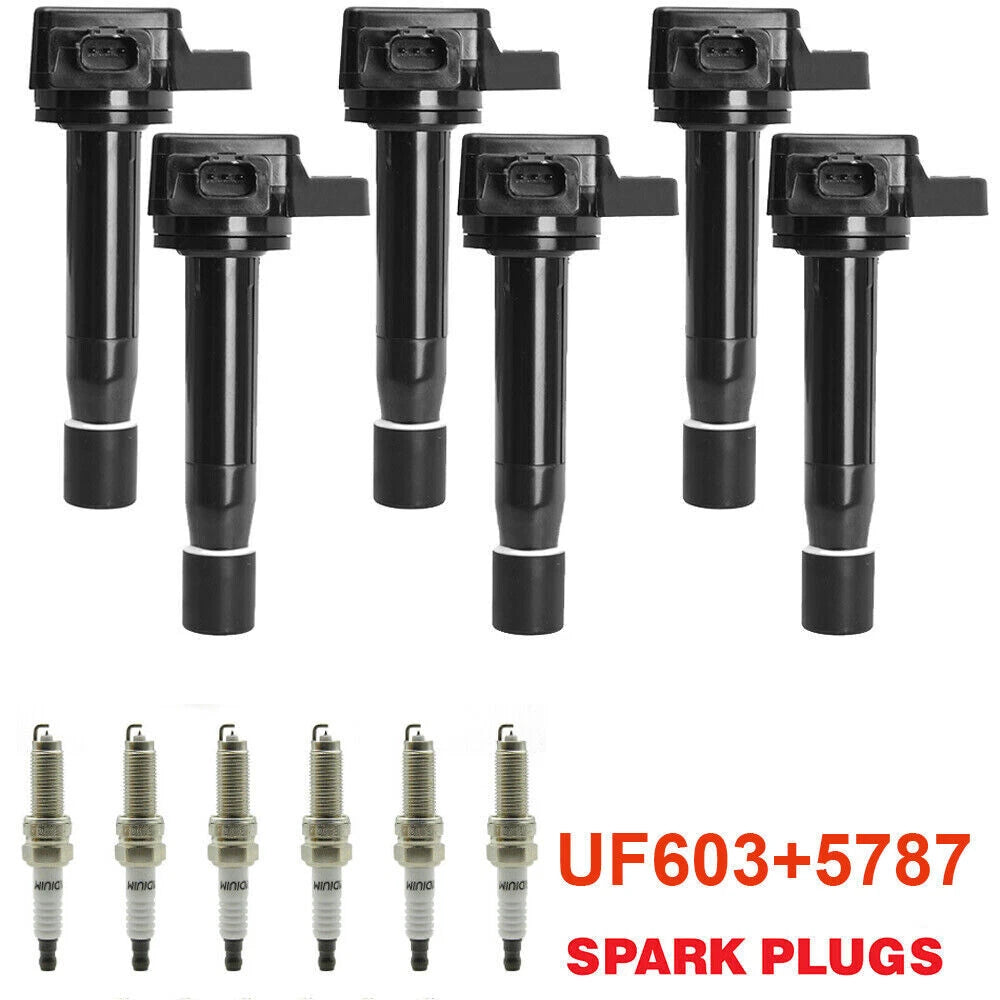 Set of 6 Ignition Coils & Spark Plugs for Acura RL TL TSX Honda Accord Odyssey