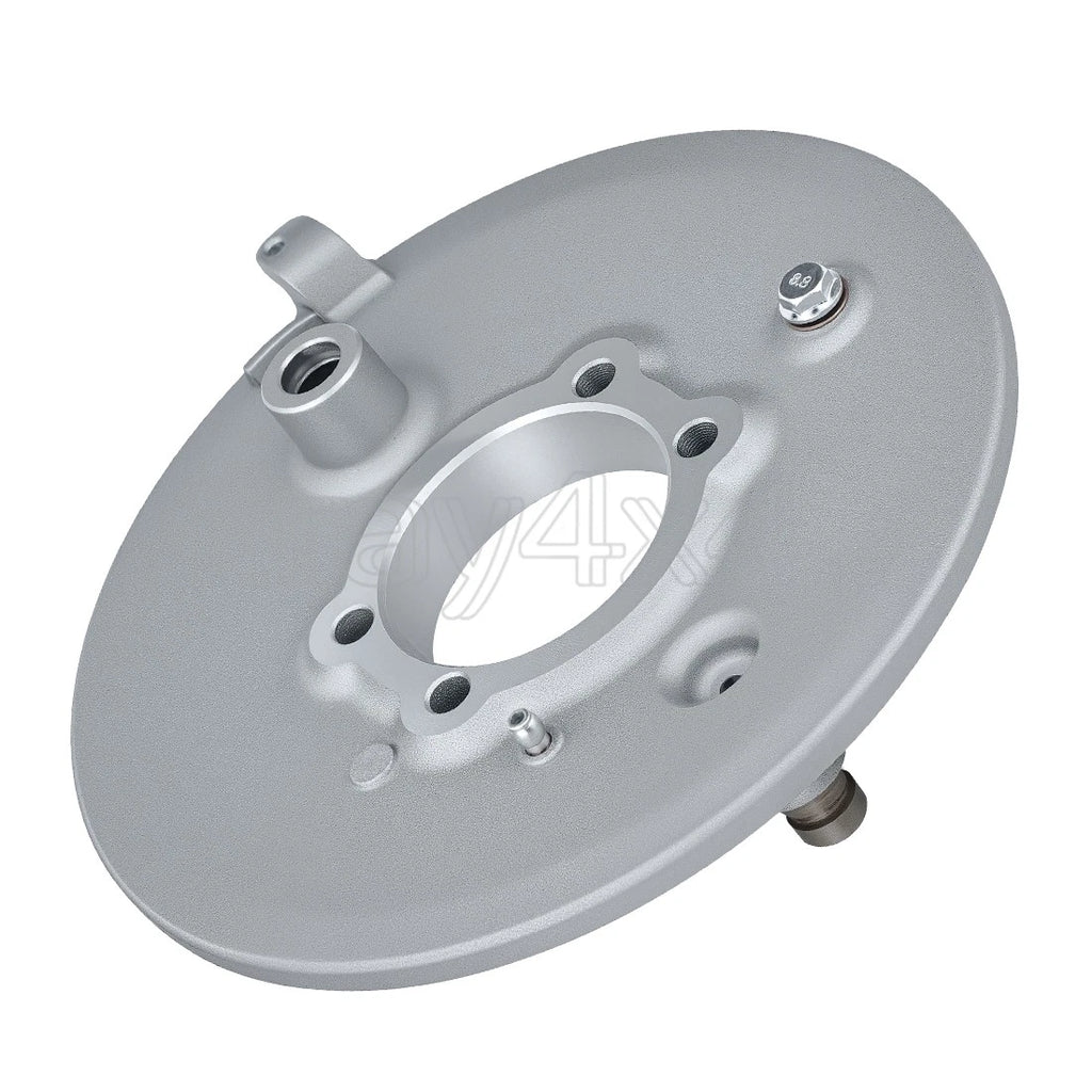Rear Brake Drum Plate for Yamaha Bear Tracker 250 (1999–2004)