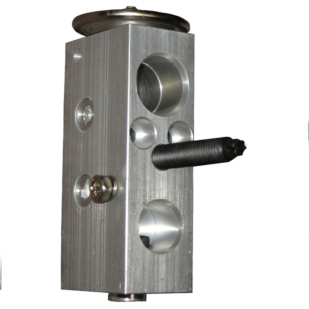 A/C Expansion Valve for Dodge Caravan, Chrysler Pacifica (2004)