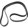 Drive Belt for Ford Escape (2013–2016)