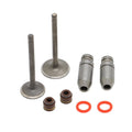 Intake Exhaust Valve Stem Guide Seal Kit for Yamaha TT-R 125 (2000–2009)