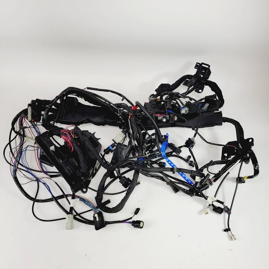 Main Wiring Harness Loom for Harley-Davidson Tri Glide ABS FLHTCUTG (2021–2024)