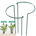 Garden Support Stake for Plants Protection from Wind and Heavy Blooms