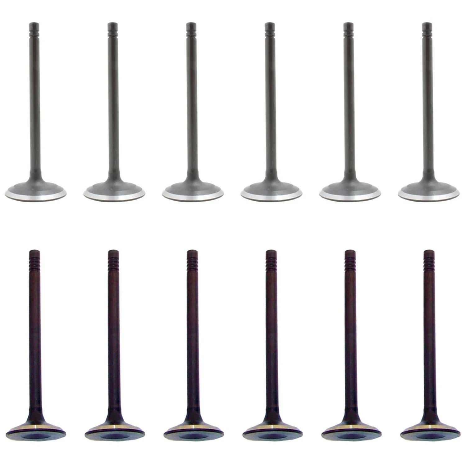 Set of 12 Intake & Exhaust Valves for Chrysler Concorde Imperial Caravan (V6 12V)