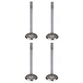 Set of 4 Exhaust Valves for Case-IH Harvester Tractor (366303R4)