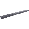 Door Molding and Beltlines for Town and Country (LH)