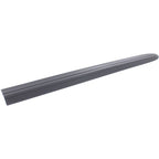 Door Molding and Beltlines for Town and Country (LH)