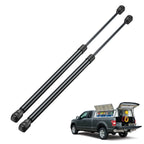 Gas Strut for Jeep (2012–2012) 20" 110Lbs/490N Rear Window