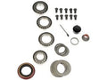 Differential Bearing Kit 697-101 for Dorman (2010–2015)