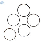 Piston Rings for Honda Fourtrax 300 & TRX300EX Sportrax (1990–2006)