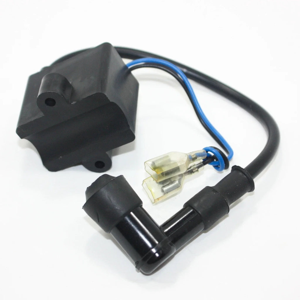 Magneto Stator Coil Spark Plug for 48cc 70cc 80cc Motorized Bicycle Engine