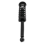 Front & Rear Shocks Struts w/ Coil Spring for Honda Accord (2003–2007)