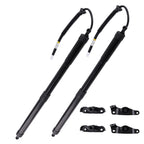 Rear Trunk Lift Support Strut for Toyota Highlander (2014–2019)