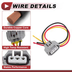 Turn Signal Socket Wiring for Toyota Avalon (2013–2016) No. 8112806470