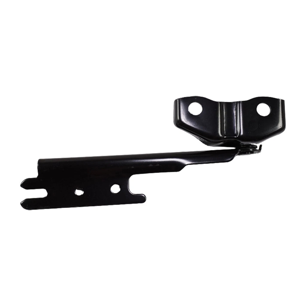Hood Hinges Set of 2 for B25D52420A