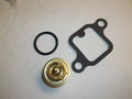 Thermostat Kit for Volvo/Penta 3.0L (1996–Present) 3853799 982554 3852096