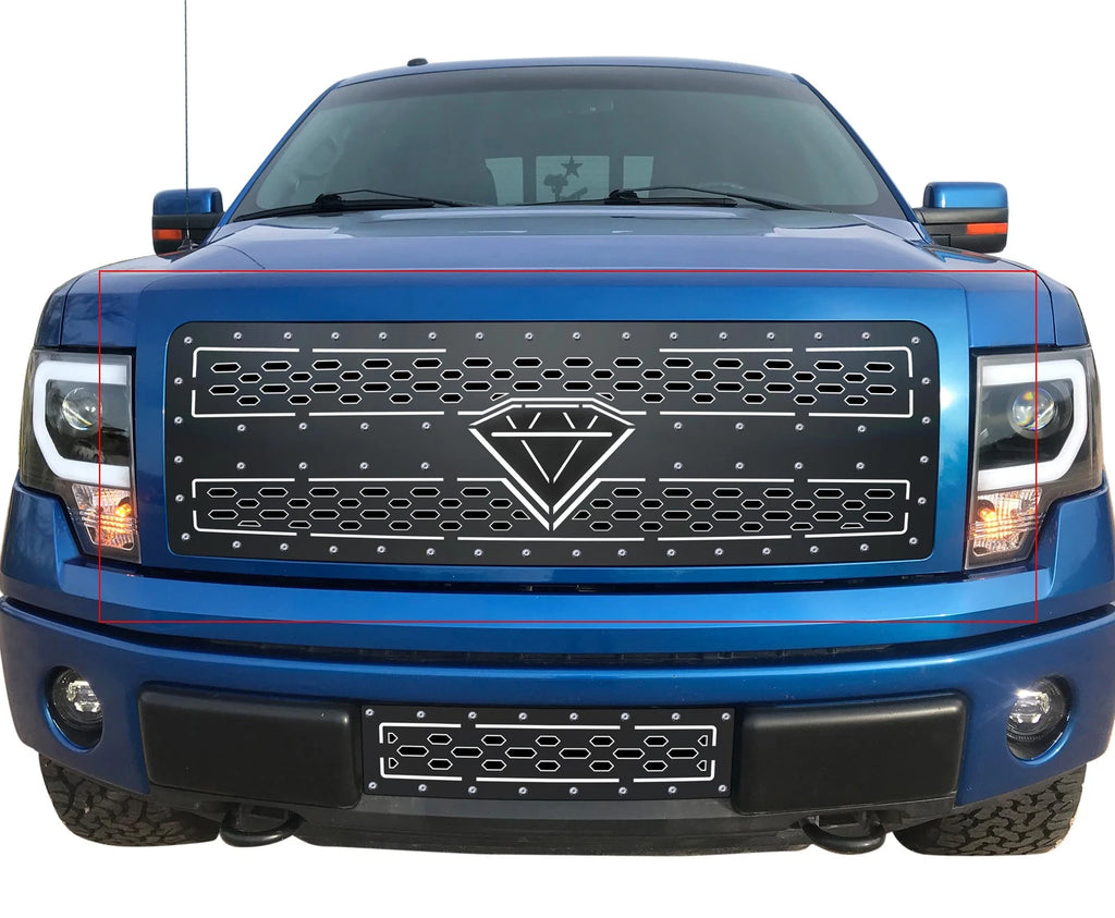 Stainless Steel Double Layer Grille Insert for Ford F-150 (2009-2014)