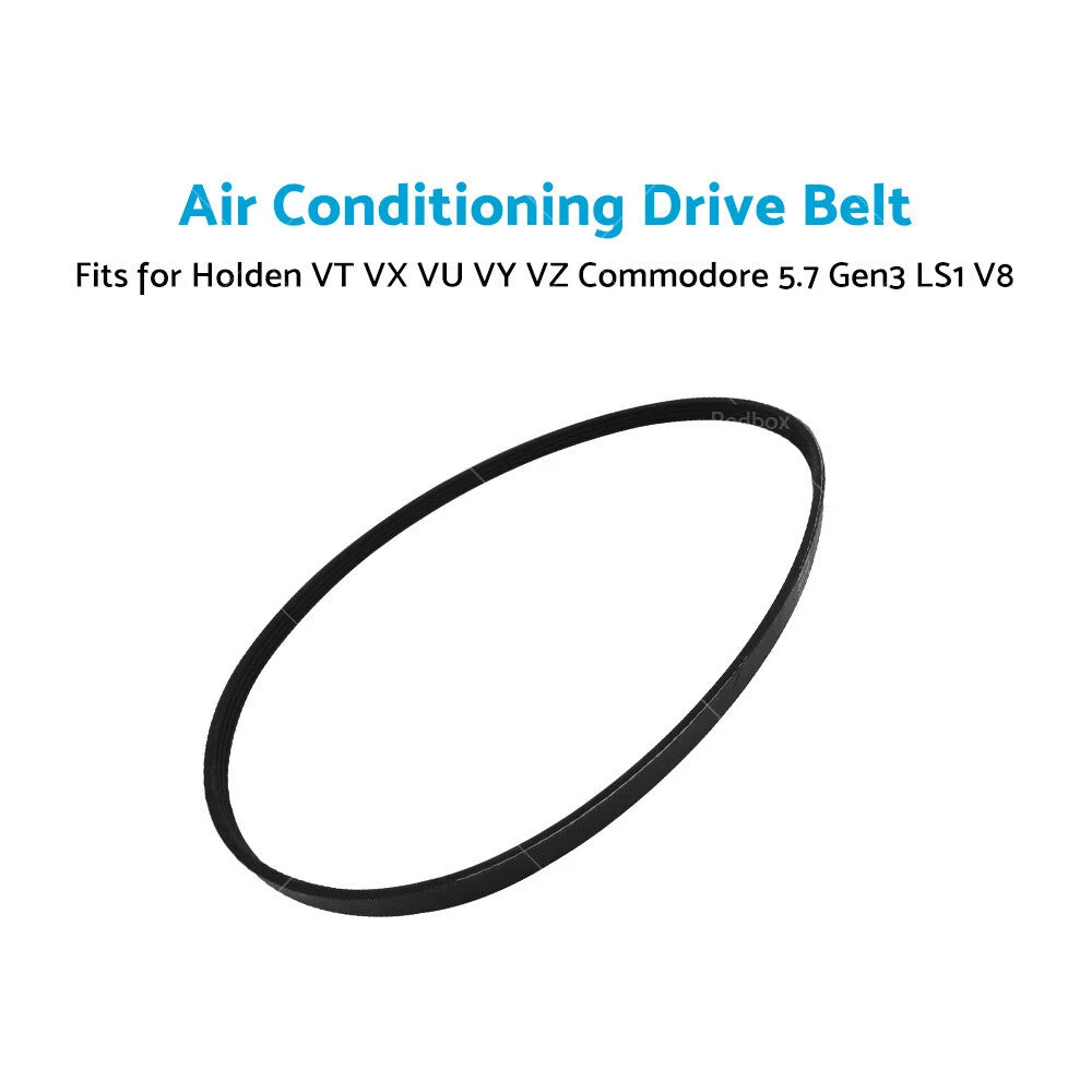 Drive Belt 4PK1100 for Holden Commodore VT VX VY VZ (1997–2006)